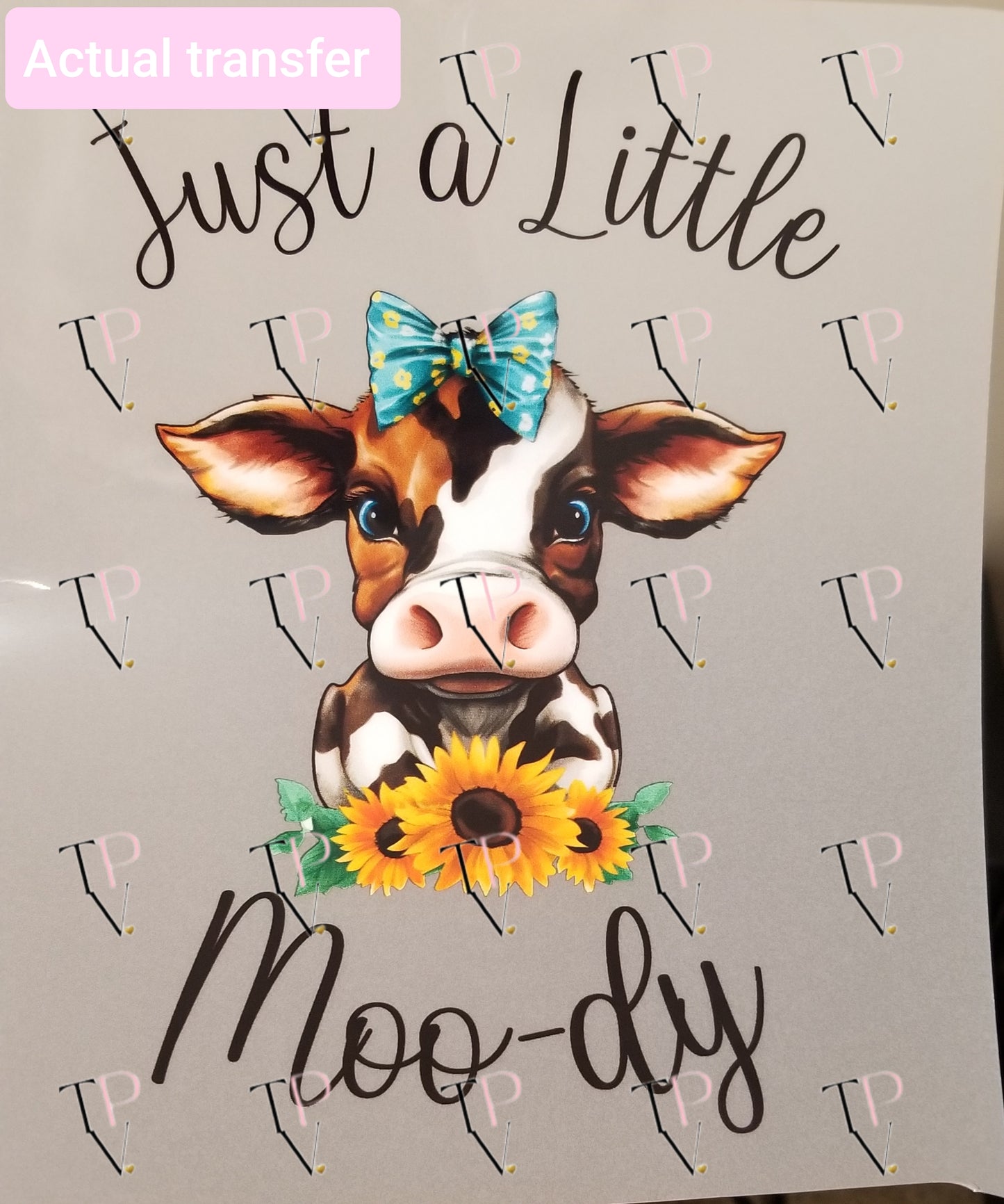 Just A Little Moody Transfer