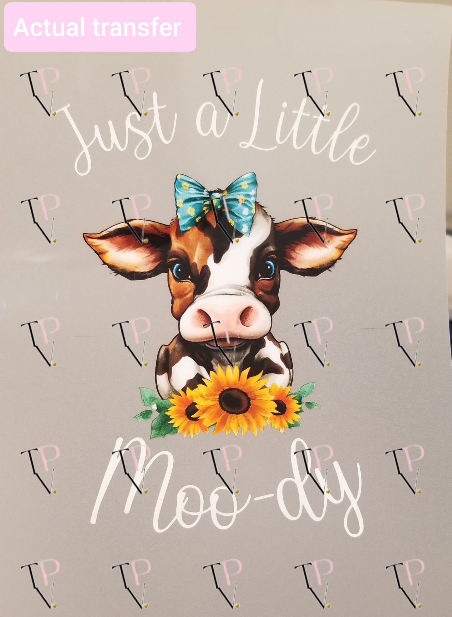 Just A Little Moody Transfer