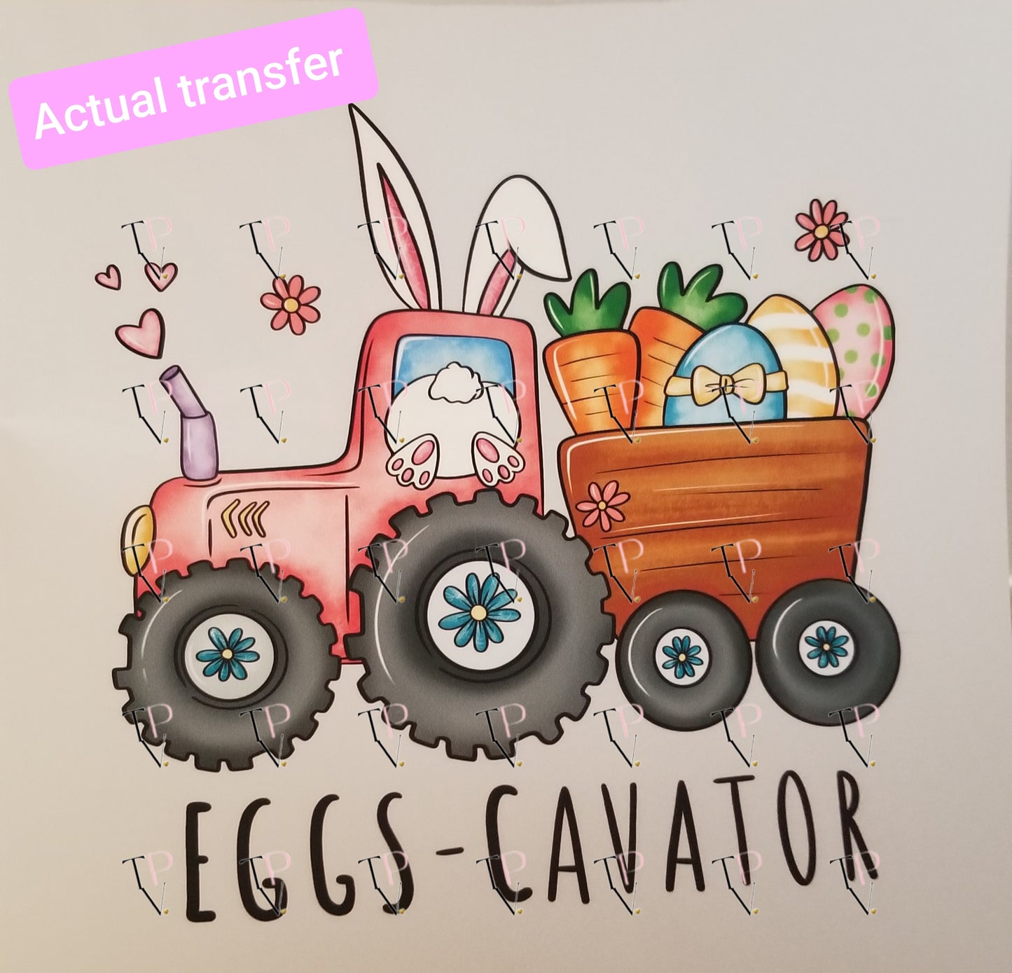 Eggs Cavator Transfer
