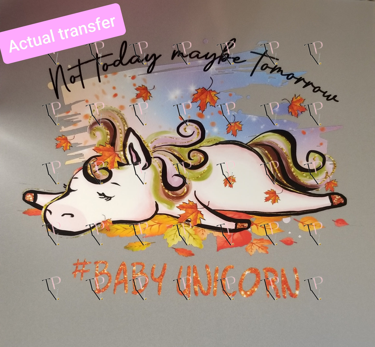 Not Today Maybe Tomorrow Transfer