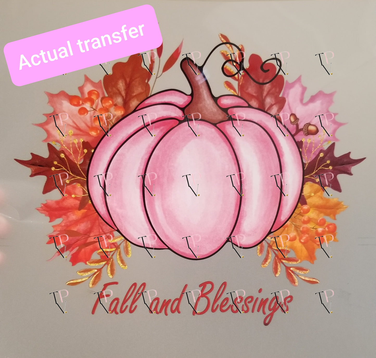 Fall And Blessings Transfer