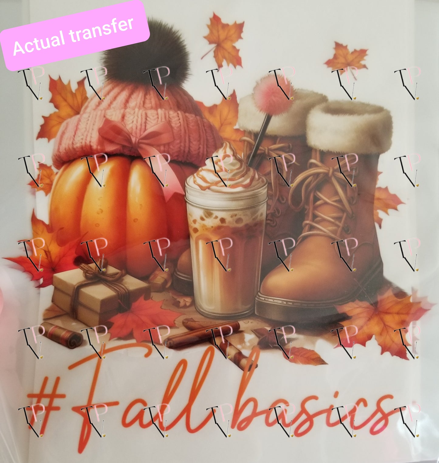 Fall Basics 2 Transfer