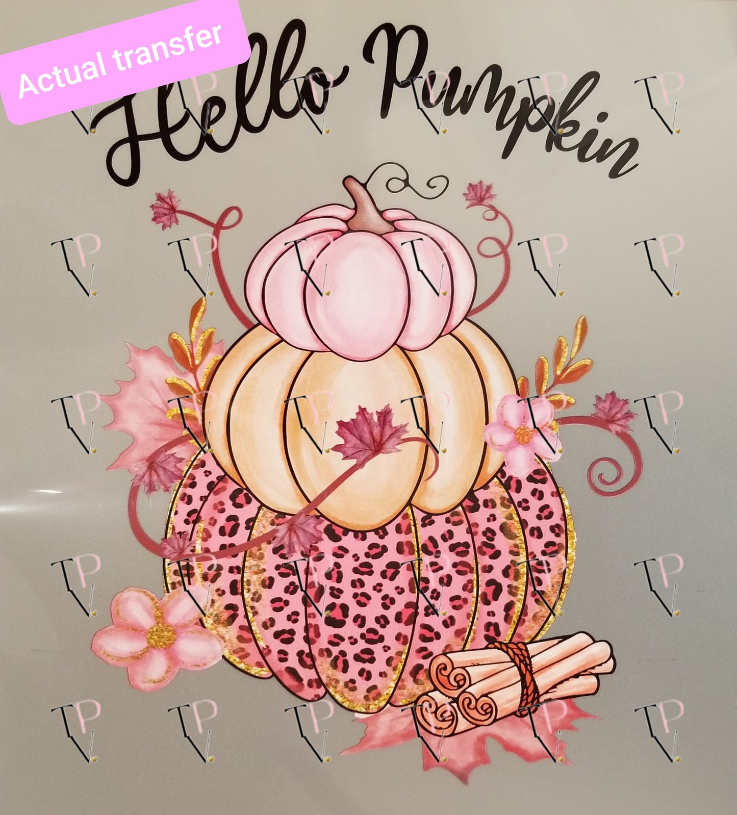 Hello Pumpkin Transfer