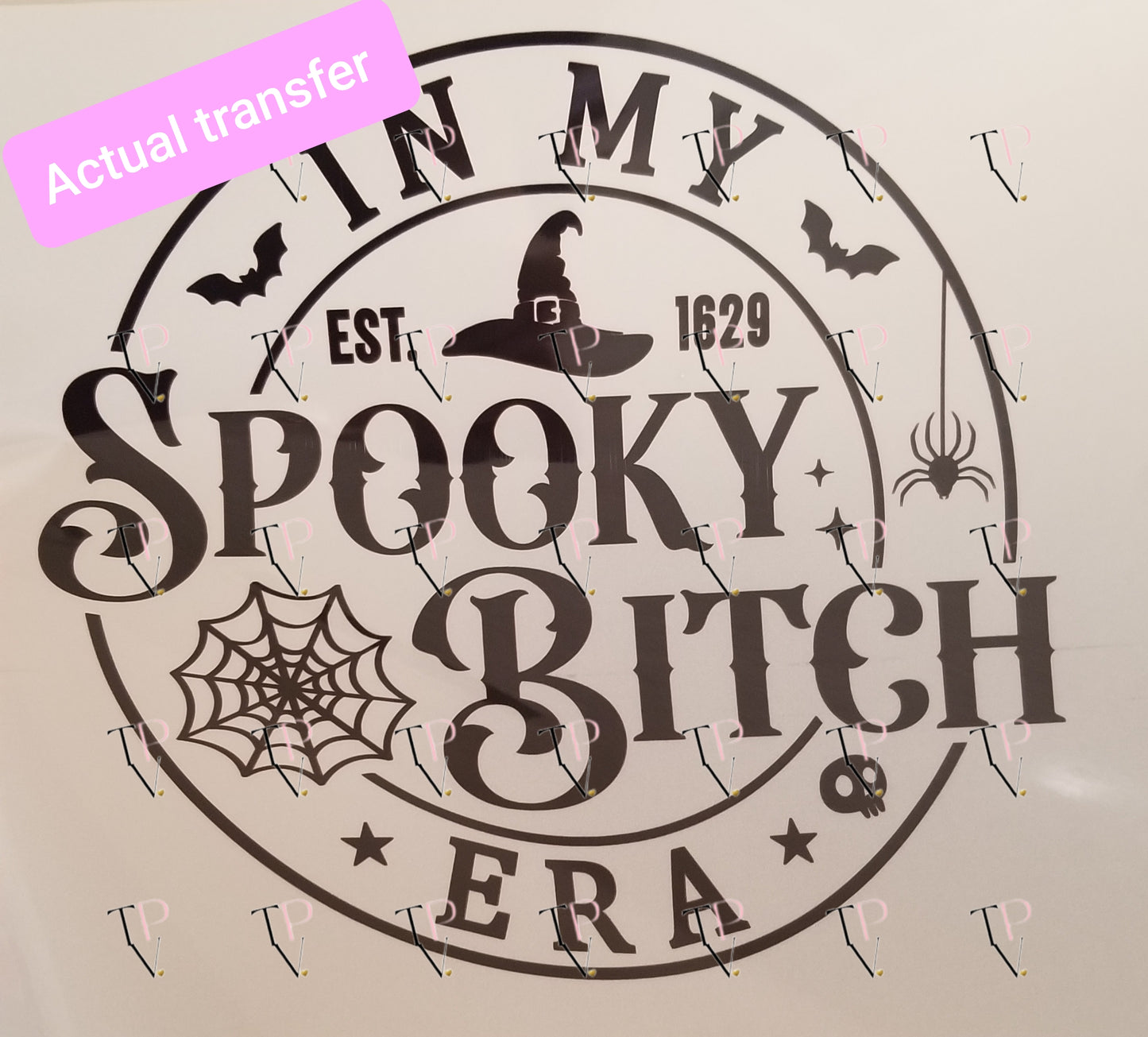 In My Spooky B Era Transfer