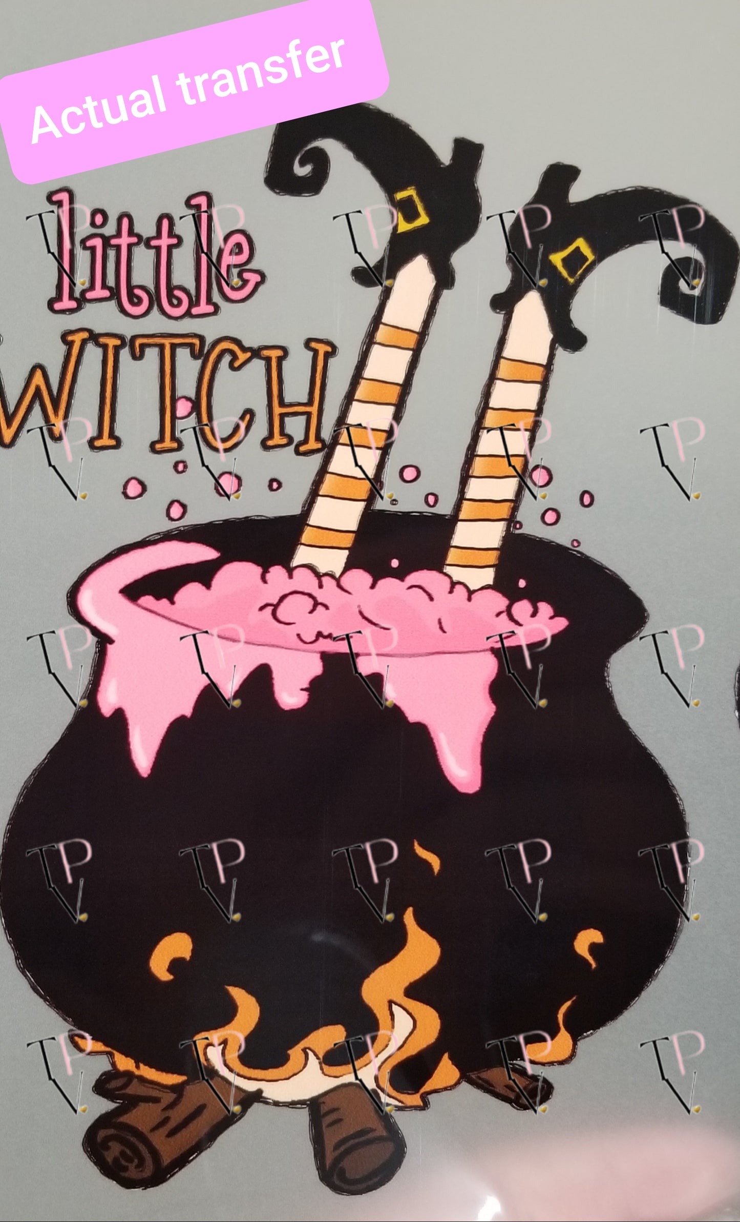 Little Witch Transfer