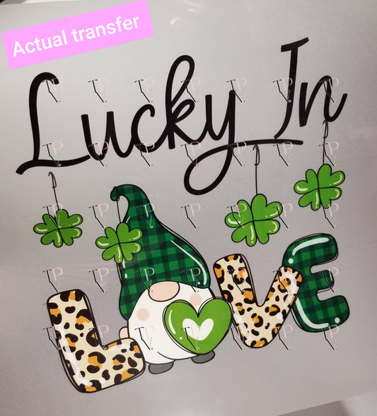 Lucky In Love Transfer